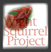 Wight Squirrel Project